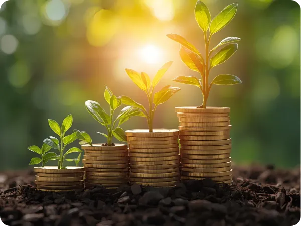 چرا کسب و کار با سرمایه کم جذاب است؟